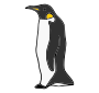 Penguin Picture