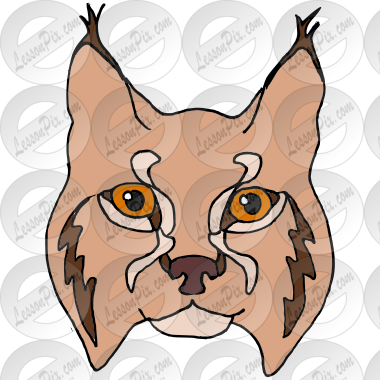 Lynx