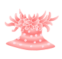 Sea Anemone