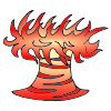 Sea Anemone