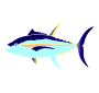 Tuna