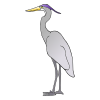 Heron