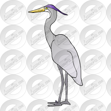 Heron