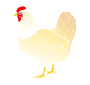 Hen