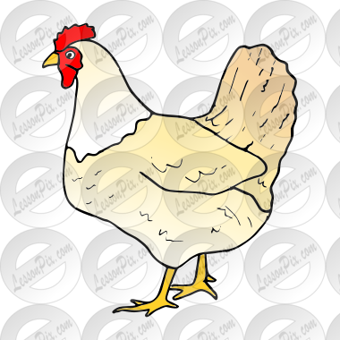 Hen