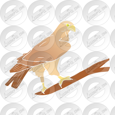 Falcon
