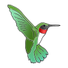 Hummingbirds+fly Picture