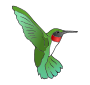 Hummingbird