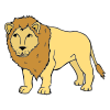 Lion Picture