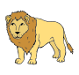 Lion Picture