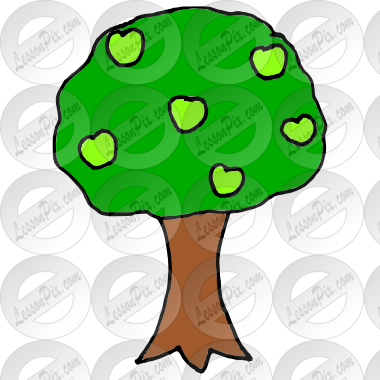 Apple Tree