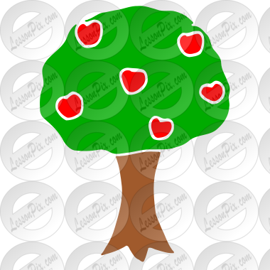 Apple Tree