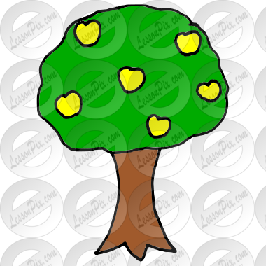 Apple Tree