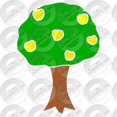 Apple Tree