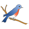 The+bird+is+blue. Picture