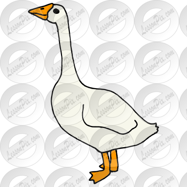 Goose Picture