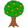 Orange+Tree Picture