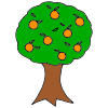 Orange Tree