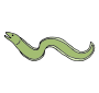 Eel