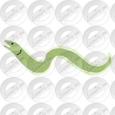 Eel