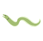 Eel