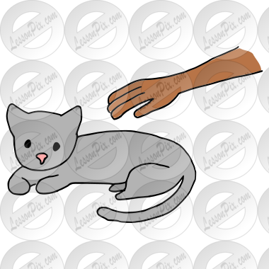 Pet  Picture