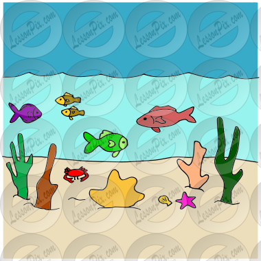 Ocean