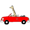 Driving Giraffe Picture