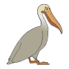 Pelican Picture