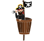 Pirate Lookout