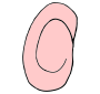 Ear