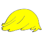 Hair