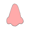 Nose