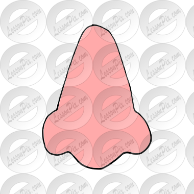 Nose