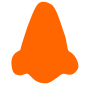 Nose