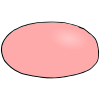 Nose
