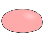 Nose
