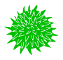 Fidget