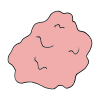 Chewed Gum