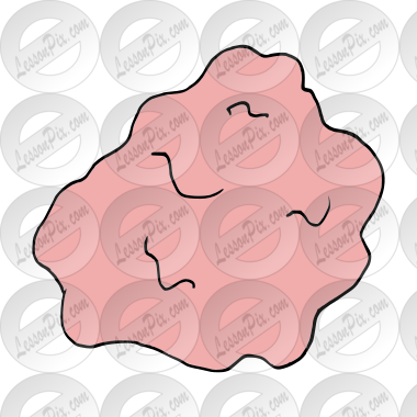 Chewed Gum