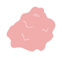 Chewed Gum