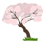 Almond Tree