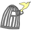 The+bird+is+out+of+the+cage. Picture
