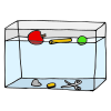 Sink and Float