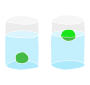 Sink and Float