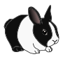 Rabbit  Picture