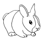 Rabbit  Outline