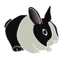 Rabbit  Stencil