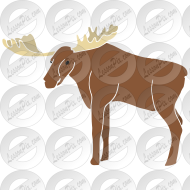 Moose