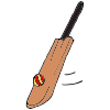 Cricket Bat Picture